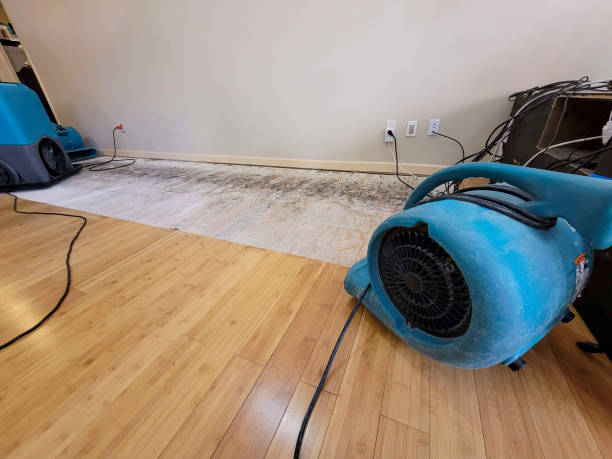 Professional Basement Flood Cleanup technician working in Sassamansville, PA